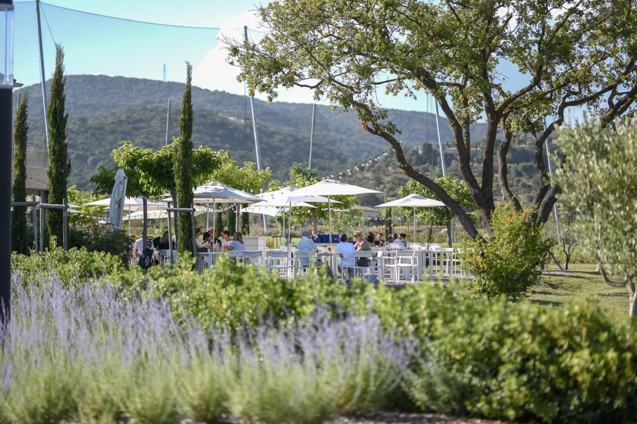 Clos Des Oliviers Grimaud - Meuble De Tourisme Dış mekan fotoğraf